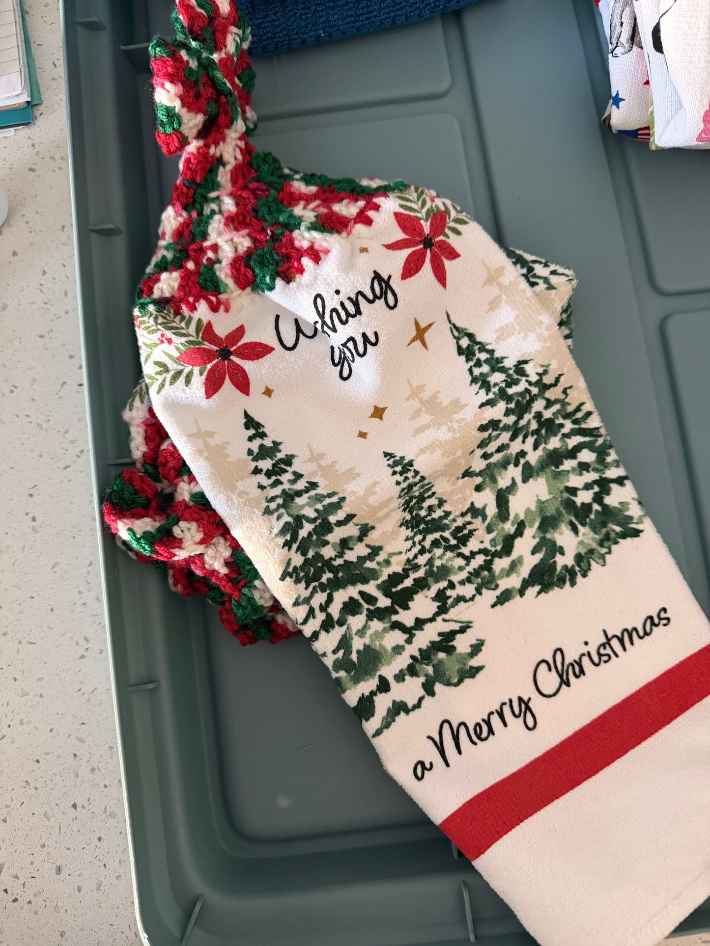 have a merry christmas