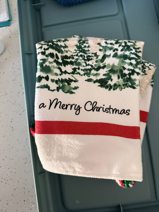 have a merry christmas
