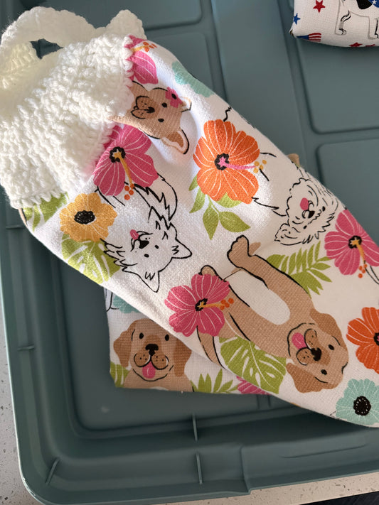 spring dog
