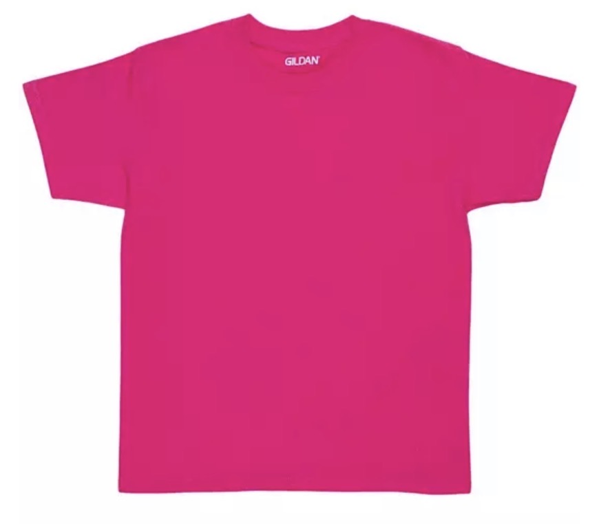 Kid Shirts (Gildan)